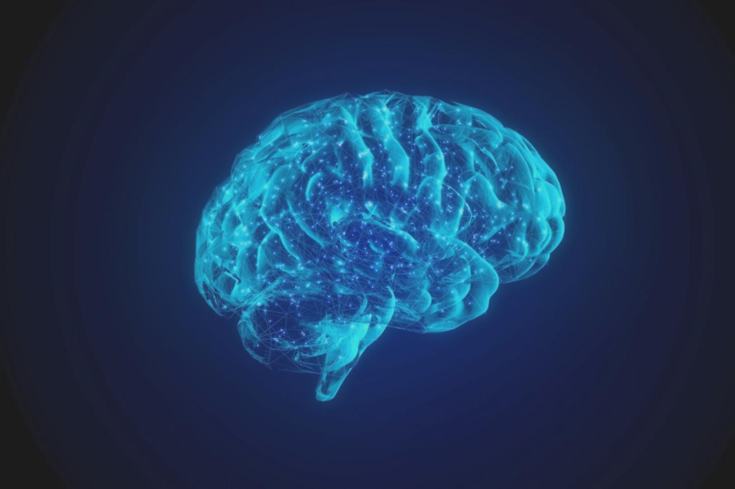Participant travaillant sur un modèle de backtesting en machine learning